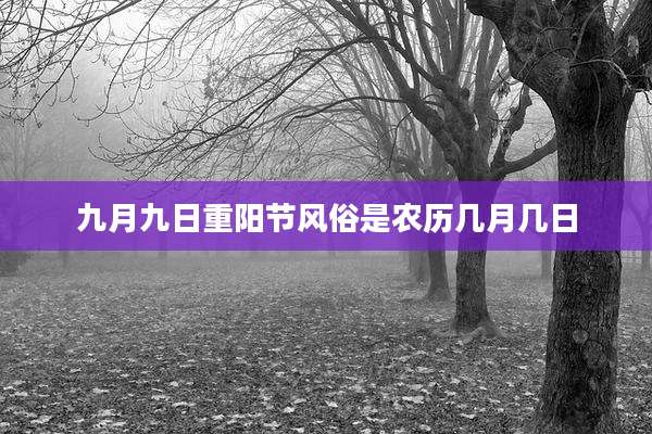 九月九日重阳节风俗是农历几月几日