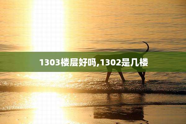 1303楼层好吗,1302是几楼