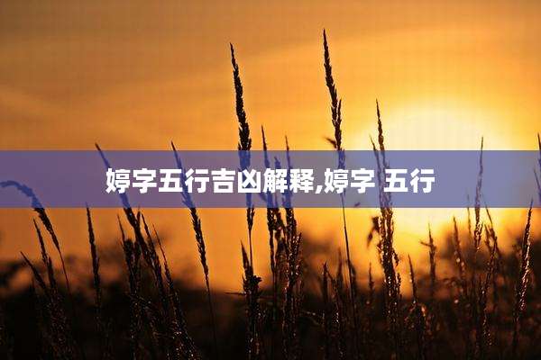 婷字五行吉凶解释,婷字 五行
