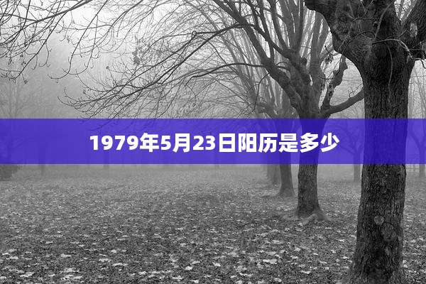 1979年5月23日阳历是多少