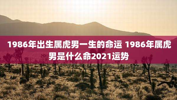 1986年出生属虎男一生的命运 1986年属虎男是什么命2021运势
