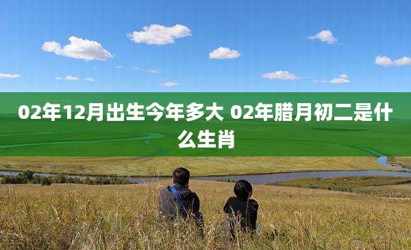 02年12月出生今年多大 02年腊月初二是什么生肖