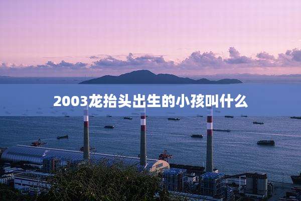 2003龙抬头出生的小孩叫什么