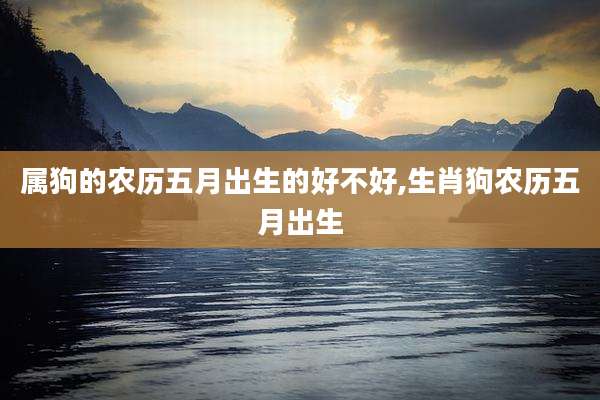 属狗的农历五月出生的好不好,生肖狗农历五月出生