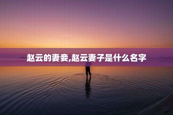 赵云的妻妾,赵云妻子是什么名字
