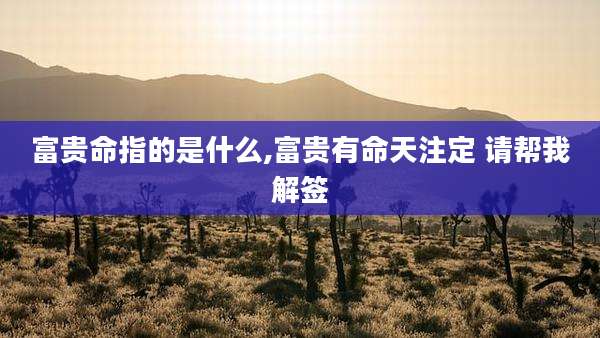 富贵命指的是什么,富贵有命天注定 请帮我解签