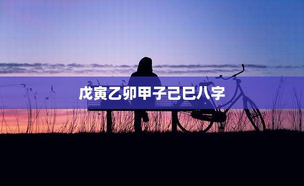 戊寅乙卯甲子己巳八字