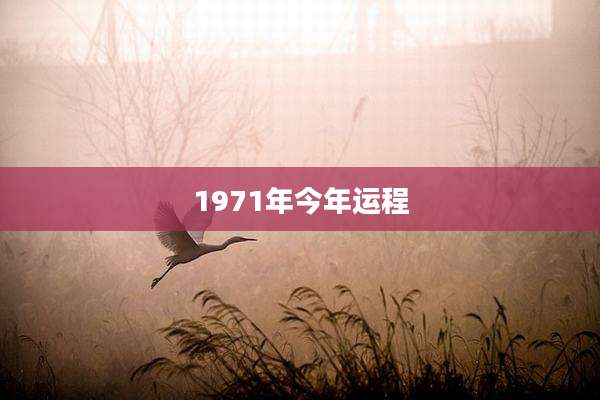 1971年今年运程