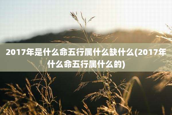 2017年是什么命五行属什么缺什么(2017年什么命五行属什么的)