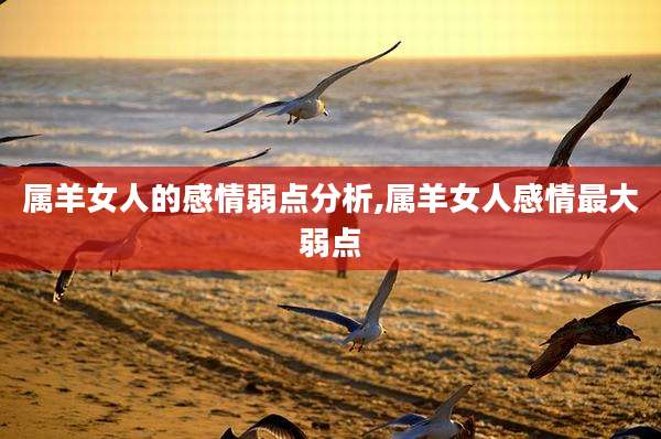 属羊女人的感情弱点分析,属羊女人感情最大弱点