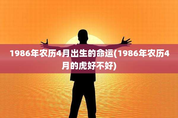 1986年农历4月出生的命运(1986年农历4月的虎好不好)