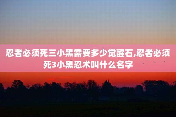 忍者必须死三小黑需要多少觉醒石,忍者必须死3小黑忍术叫什么名字