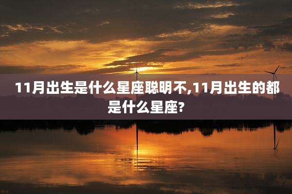 11月出生是什么星座聪明不,11月出生的都是什么星座?