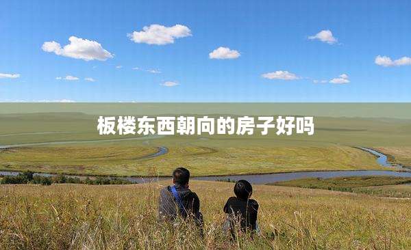 板楼东西朝向的房子好吗