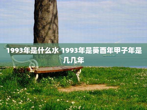 1993年是什么水 1993年是葵酉年甲子年是几几年