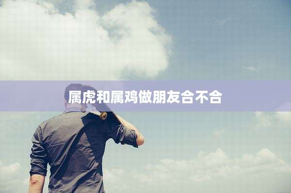 属虎和属鸡做朋友合不合