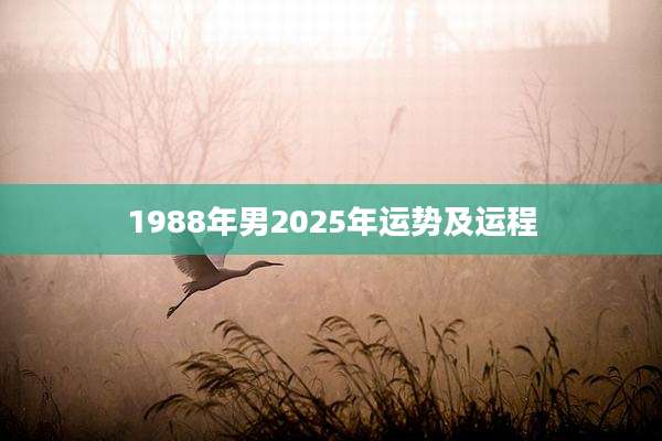 1988年男2025年运势及运程