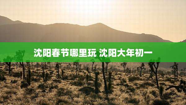 沈阳春节哪里玩 沈阳大年初一