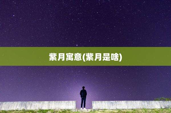 紫月寓意(紫月是啥)