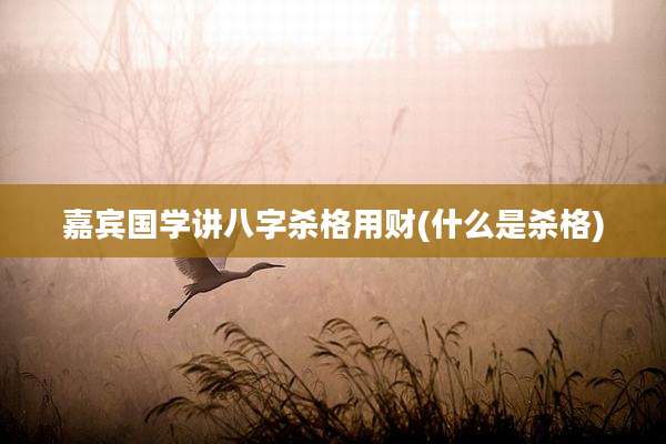 嘉宾国学讲八字杀格用财(什么是杀格)