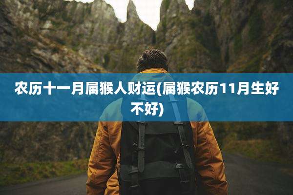 农历十一月属猴人财运(属猴农历11月生好不好)