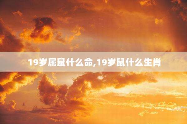 19岁属鼠什么命,19岁鼠什么生肖