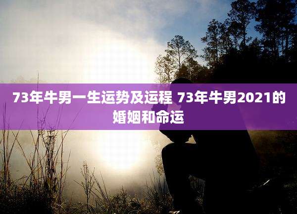 73年牛男一生运势及运程 73年牛男2021的婚姻和命运