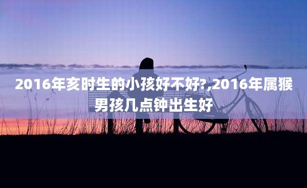 2016年亥时生的小孩好不好?,2016年属猴男孩几点钟出生好