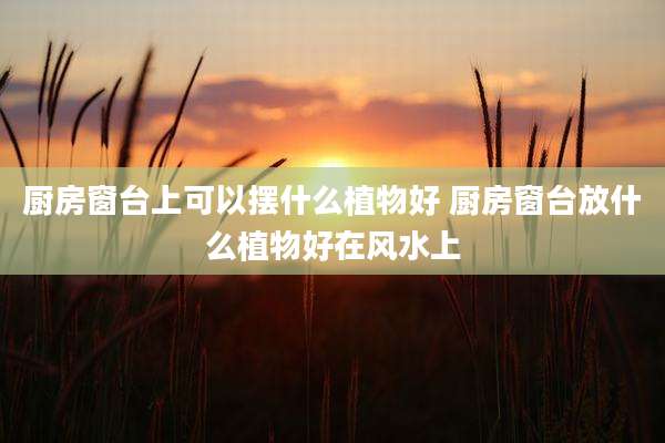 厨房窗台上可以摆什么植物好 厨房窗台放什么植物好在风水上