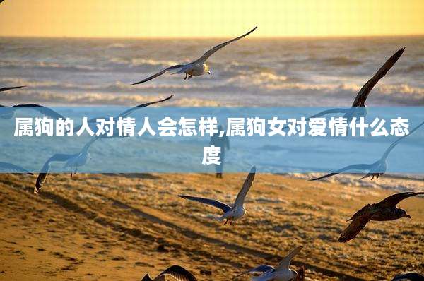 属狗的人对情人会怎样,属狗女对爱情什么态度