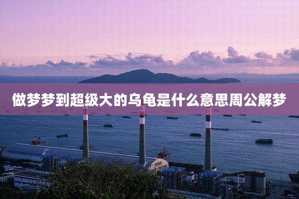 做梦梦到超级大的乌龟是什么意思周公解梦