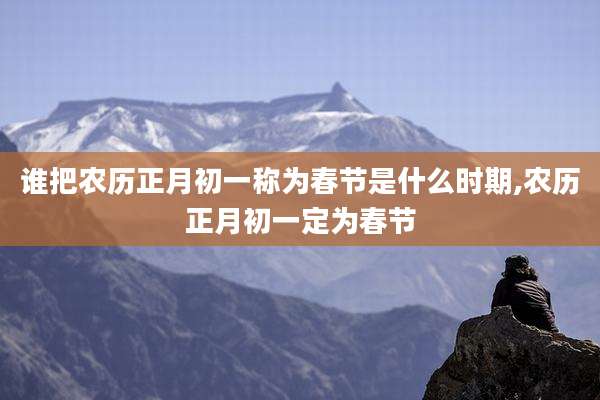 谁把农历正月初一称为春节是什么时期,农历正月初一定为春节