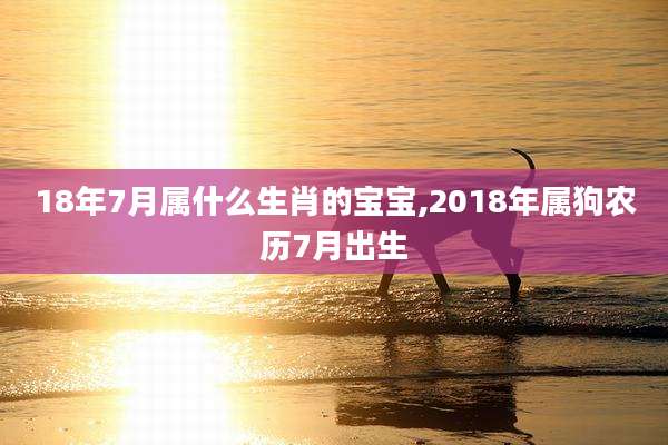 18年7月属什么生肖的宝宝,2018年属狗农历7月出生