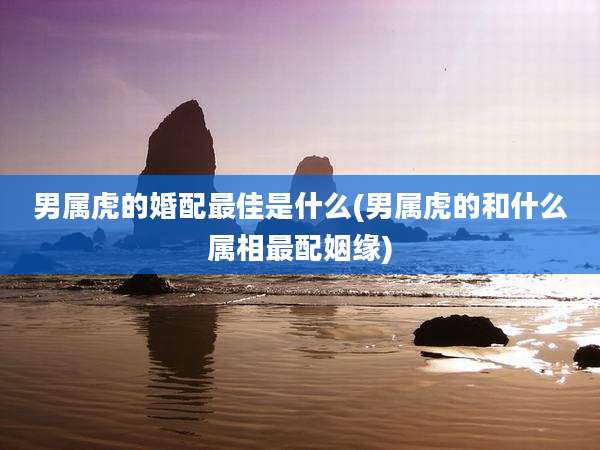 男属虎的婚配最佳是什么(男属虎的和什么属相最配姻缘)