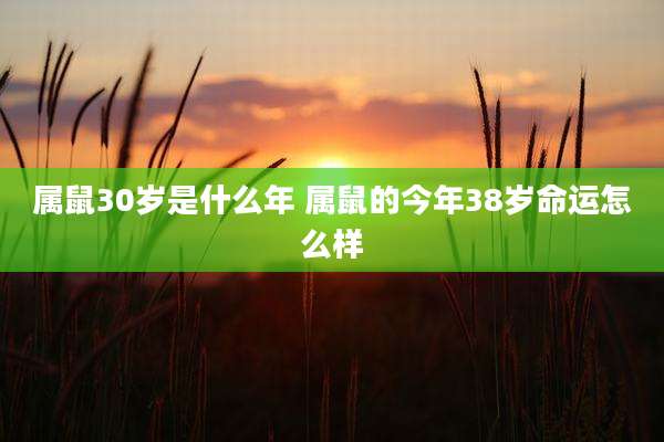 属鼠30岁是什么年 属鼠的今年38岁命运怎么样