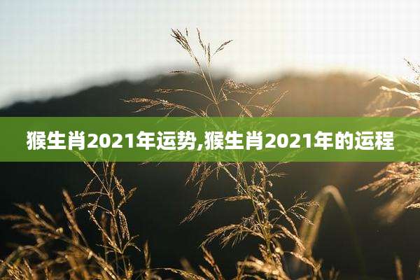 猴生肖2021年运势,猴生肖2021年的运程