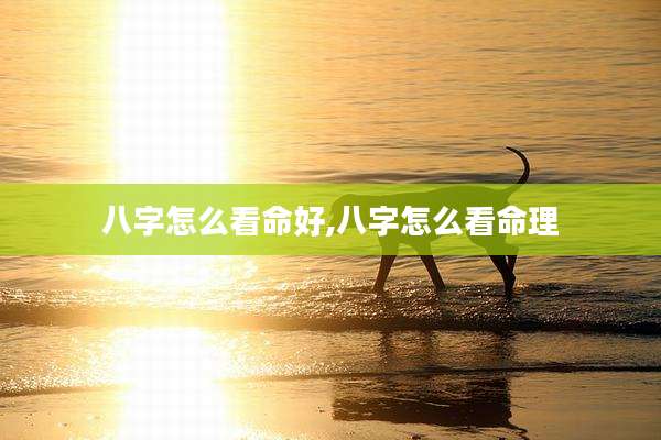 八字怎么看命好,八字怎么看命理