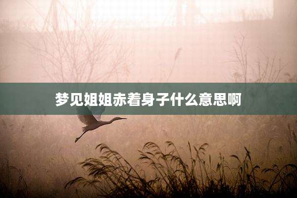 梦见姐姐赤着身子什么意思啊