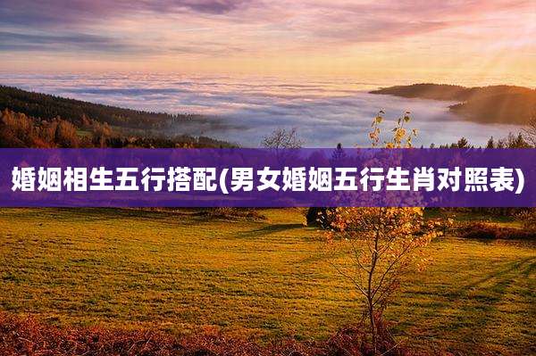 婚姻相生五行搭配(男女婚姻五行生肖对照表)