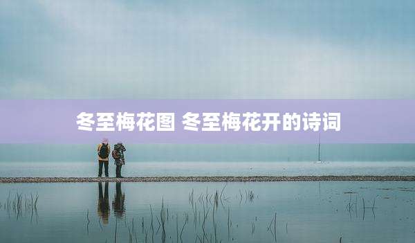 冬至梅花图 冬至梅花开的诗词