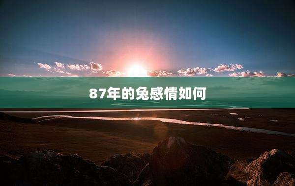 87年的兔感情如何