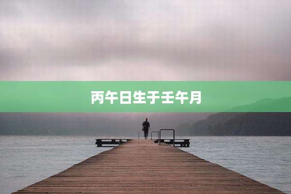 丙午日生于壬午月