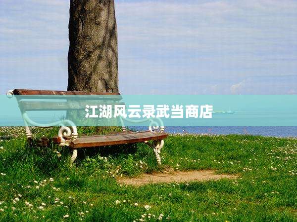江湖风云录武当商店
