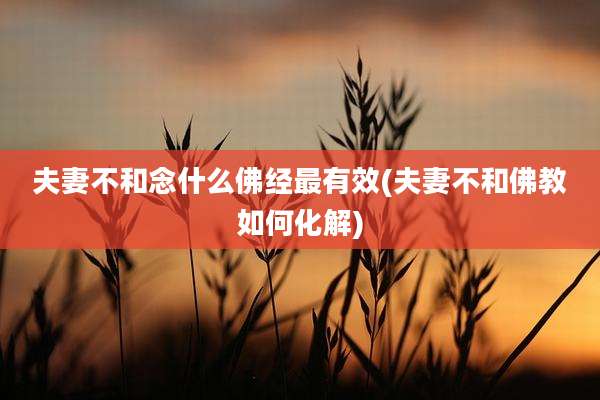 夫妻不和念什么佛经最有效(夫妻不和佛教如何化解)