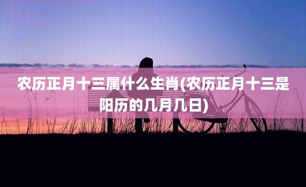 农历正月十三属什么生肖(农历正月十三是阳历的几月几日)
