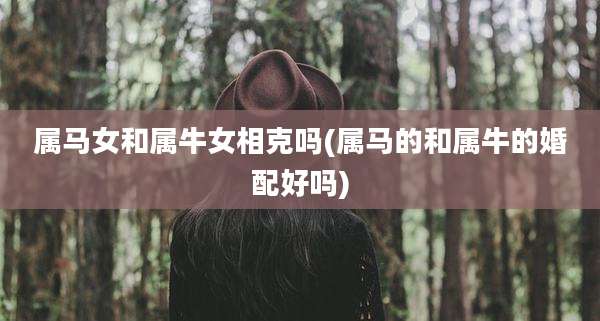 属马女和属牛女相克吗(属马的和属牛的婚配好吗)