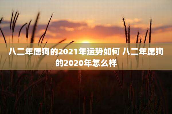 八二年属狗的2021年运势如何 八二年属狗的2020年怎么样