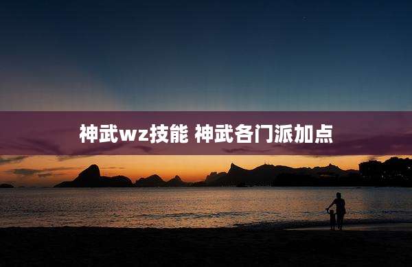 神武wz技能 神武各门派加点