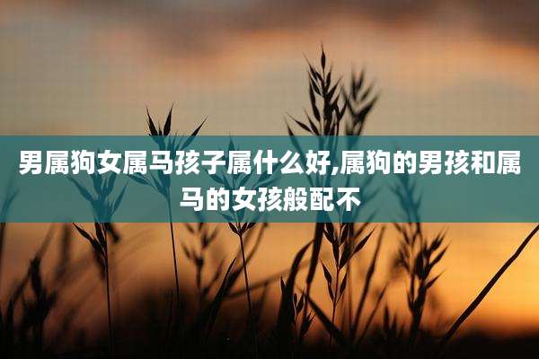 男属狗女属马孩子属什么好,属狗的男孩和属马的女孩般配不