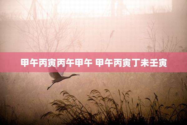 甲午丙寅丙午甲午 甲午丙寅丁未壬寅